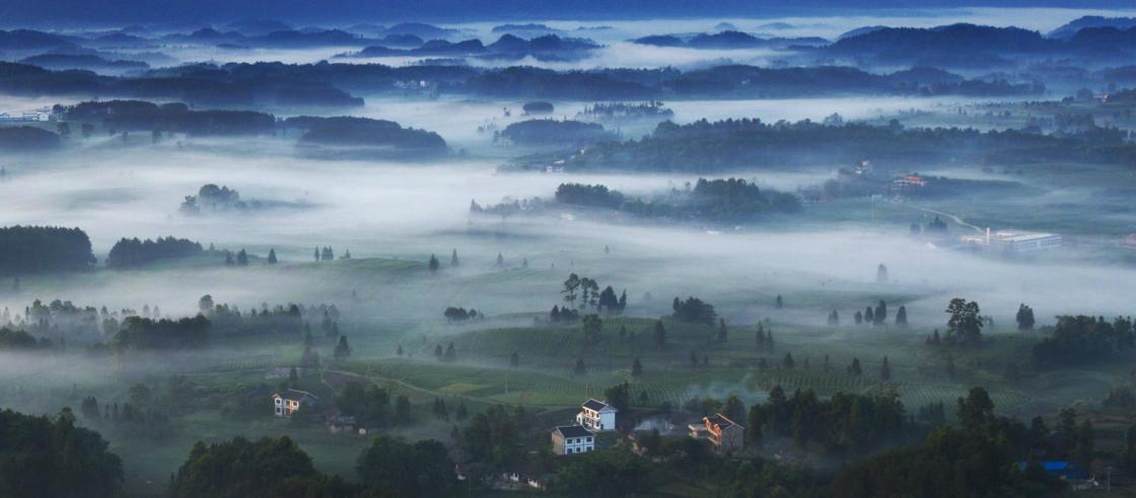 茶海之心景区