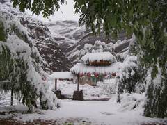 寺口山雪景。