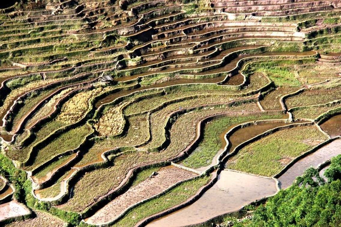 绿春县地处云南省南部，在红河州西南部，东与元阳、金平两县接壤，北与红河县相连，西北倚墨江县，西南隔李仙江与江城县相望，东南与越南社会主义共和国毗邻。距河口边境口岸312公里，距金水河口岸132公里，省道S214公路穿越县城。绿春县地处哀牢山南出支脉西端，为中山峡谷地貌。主要沿各分水岭河流两坡广泛发育的古夷平面、阶地和深切的“V”形谷、悬崖绝壁、活冲沟等幼年景观，河流深切、沟壑纵横、峰恋叠嶂、支离破碎为县境地貌的主要特征。地势中部高，四周低，由东北向西南逐渐倾斜，最高点为雄居县境中部的黄连山主峰，海拔2637米，最低点为小黑江与李仙江交汇处，海拔320米。境内无平坝，河流两坡广泛发育的古夷平面、阶地和洪积扇面积很小，多高峻条峻状形山地，海拔一般都在1200-1500米左右。绿春县境内有北热带、南亚热带、中亚热带、北亚热带、南温带、中温带6种气候类型，属云南省西部亚热带山地季风气候，是云南省典型的湿热区之一。每年11月至次年4月为干季，晴天多，光照足，湿度小，昼夜温差大；5月至10月为雨季，雨水多，光照少，昼夜温差小。年均气温16.6℃，无霜期340天。长街宴也称为“最扎窝黑京宗宗”，是“