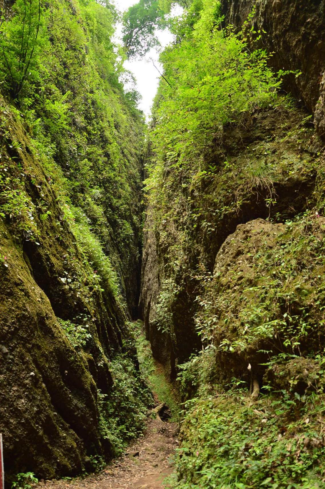 青城山