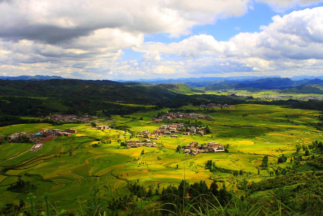 鸟王村处于贵定县南面的云雾山麓，是一个高山平坝苗族，层层梯田优美如画。贵州贵定县委离退休干部工作局雷作胜2014年8月30日摄于贵定县云雾镇鸟王村。