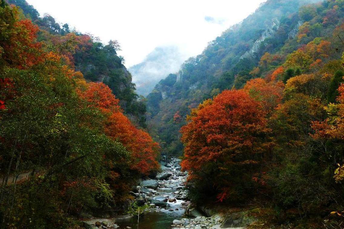 唐家河国家级自然保护区