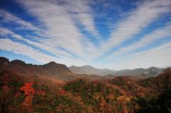 層林盡染-光霧山