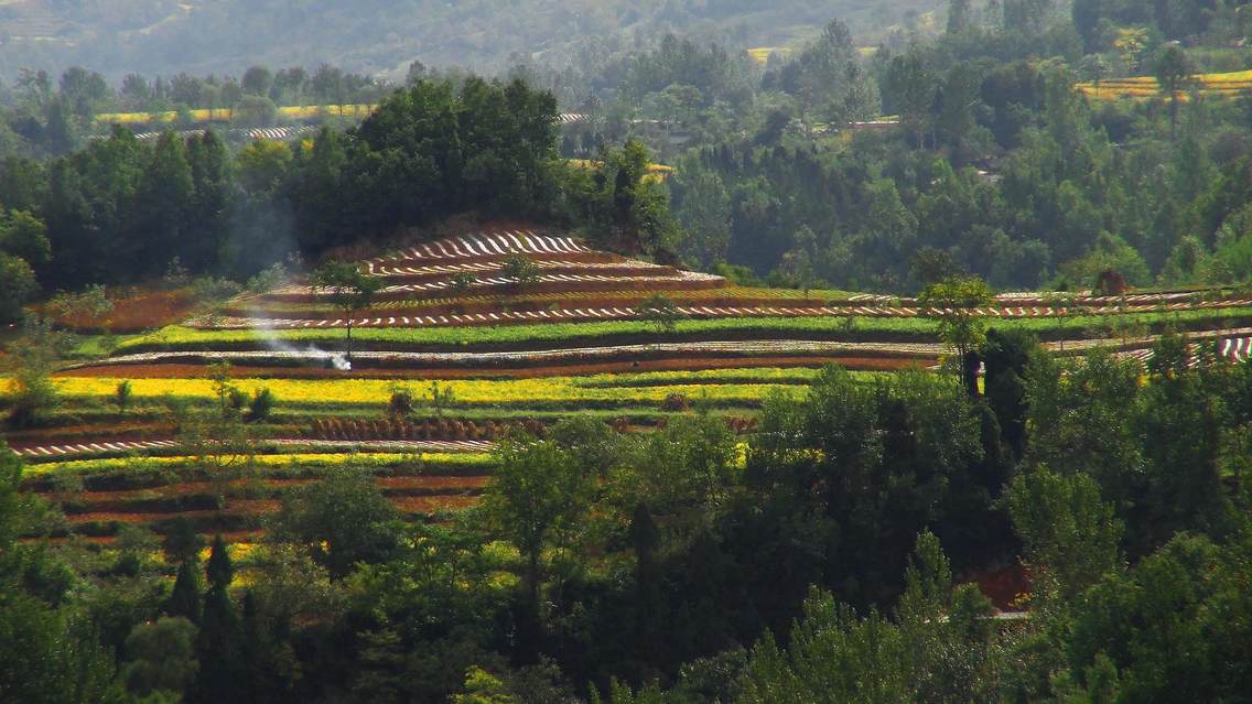 秋天的康县，五彩缤纷的农田。