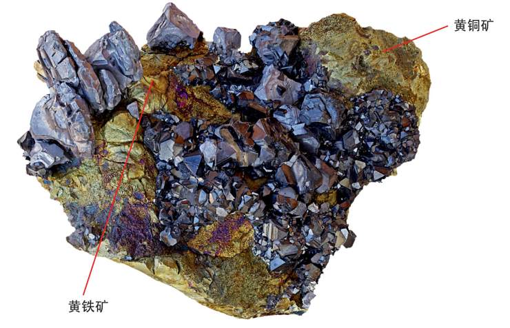 图中大块的金属矿物为黄铜矿,小块的近方形金属矿物为黄铁矿,两者形态
