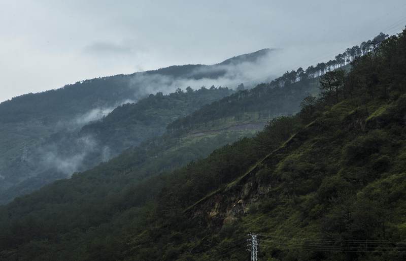 空山新雨后