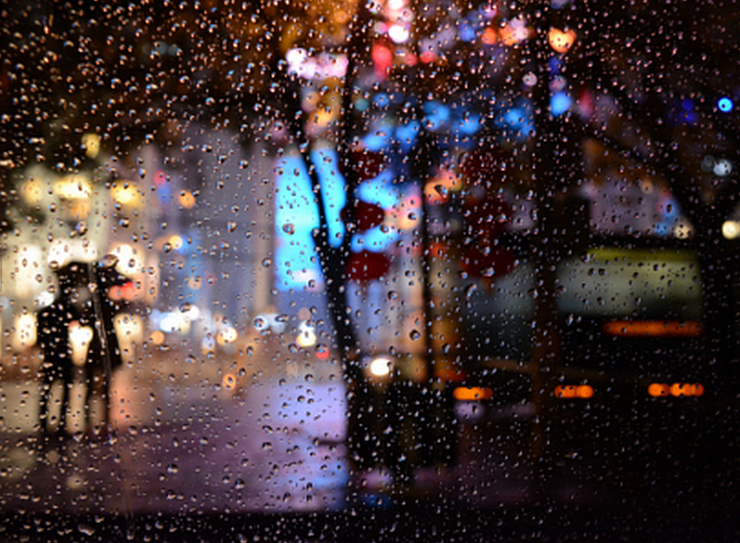 情迷京雨夜——丁丁生