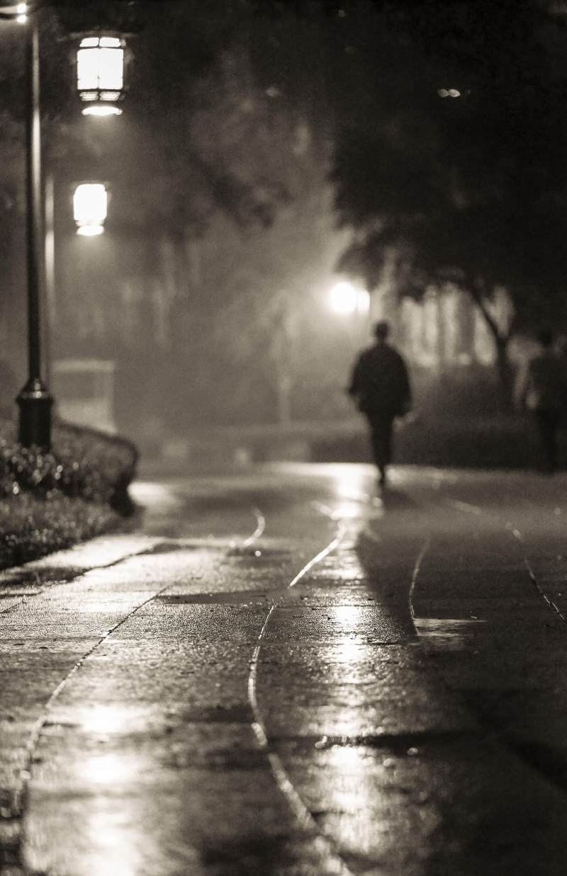 作        者:郑浩          图片描述: 雨夜,只身走在被雨淋湿的