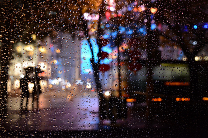 情迷京夜雨