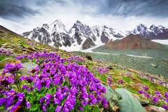 神灵居住的香雪海——新疆天山博格达