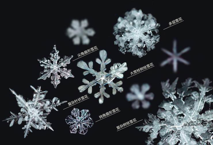 最美的雪花飘落吉林