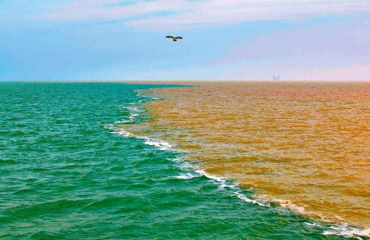 在山东东营黄河入海口,浑浊的黄河水汇入到清澈的渤海海水中,海面上