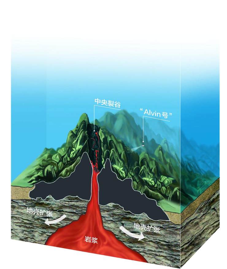 灼热的岩浆在大洋中脊处的火山口中由地幔不断上涌,凝固成新的洋壳,并