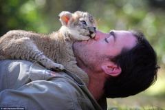 澳大利亚男子家中饲养遭遗弃狮崽：顽皮似小猫