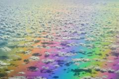 飞机乘客拍到“飞跃彩虹”梦幻奇景