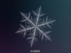 怎一个美字了得！雪花长这样 