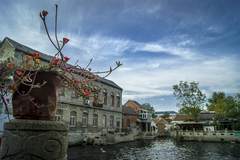 风景里遇见