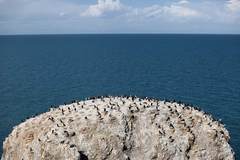 青海省刚察县