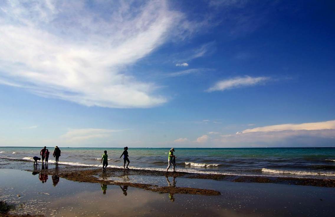 青海湖