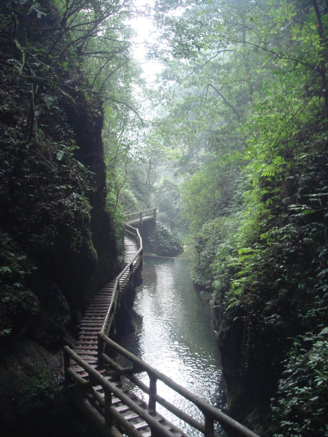 四川都江堰市青城山风景区