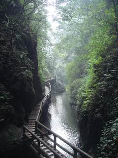 四川都江堰市青城山风