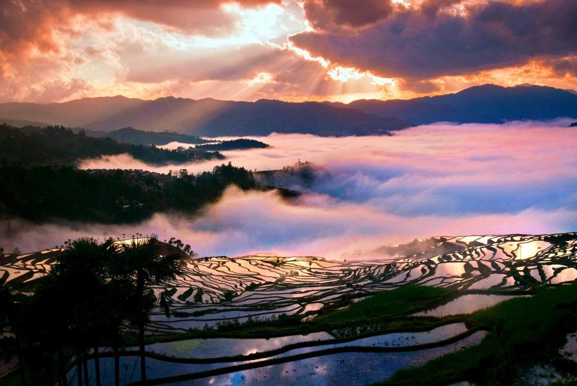 樱花棕榈秀梯田景点位于红河县甲寅乡他撒村，距甲寅乡政府驻地5公里，梯田线条柔美，樱花、棕榈点缀其间，傍晚，金黄色的阳光穿过云彩洒在万亩梯田上，何其壮观，是拍摄日落的最佳景点。最佳拍摄季节为冬季；最佳拍摄时段是5点半至7点半。