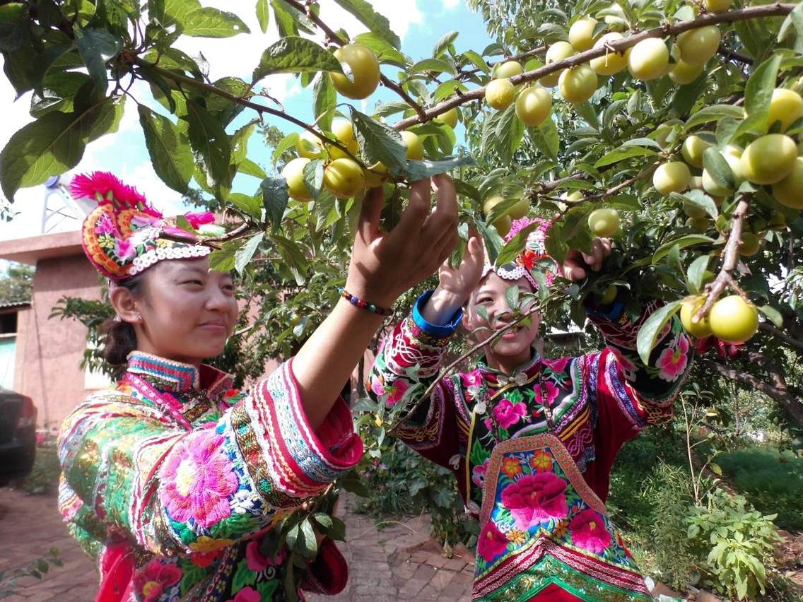 云南省楚雄州永仁县诸葛生态村