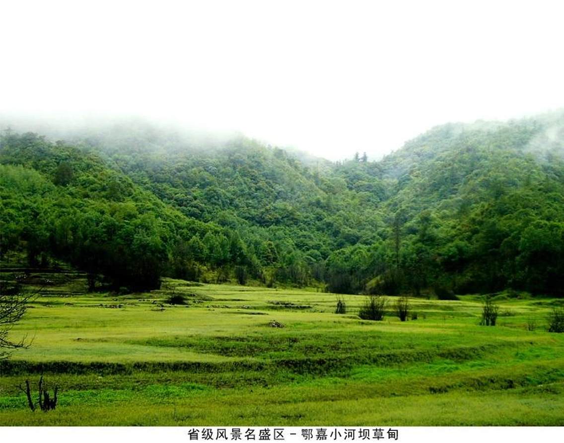 云南楚雄双柏县鄂嘉小河坝草甸