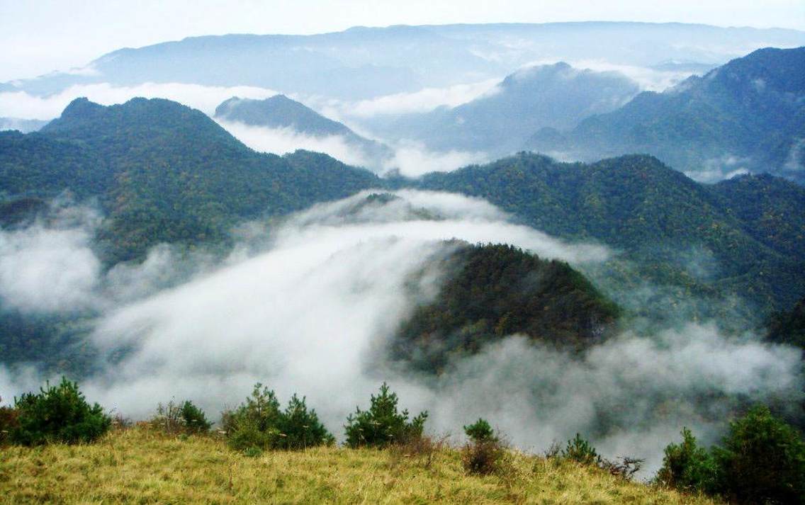 梦回故乡紫柏行，山泉喷流漫汉城；小儿戏水花落溪，暑日竹林茶正浓。