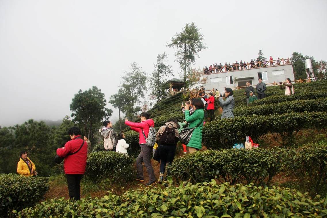 云南省大理州南涧县无量山樱花谷