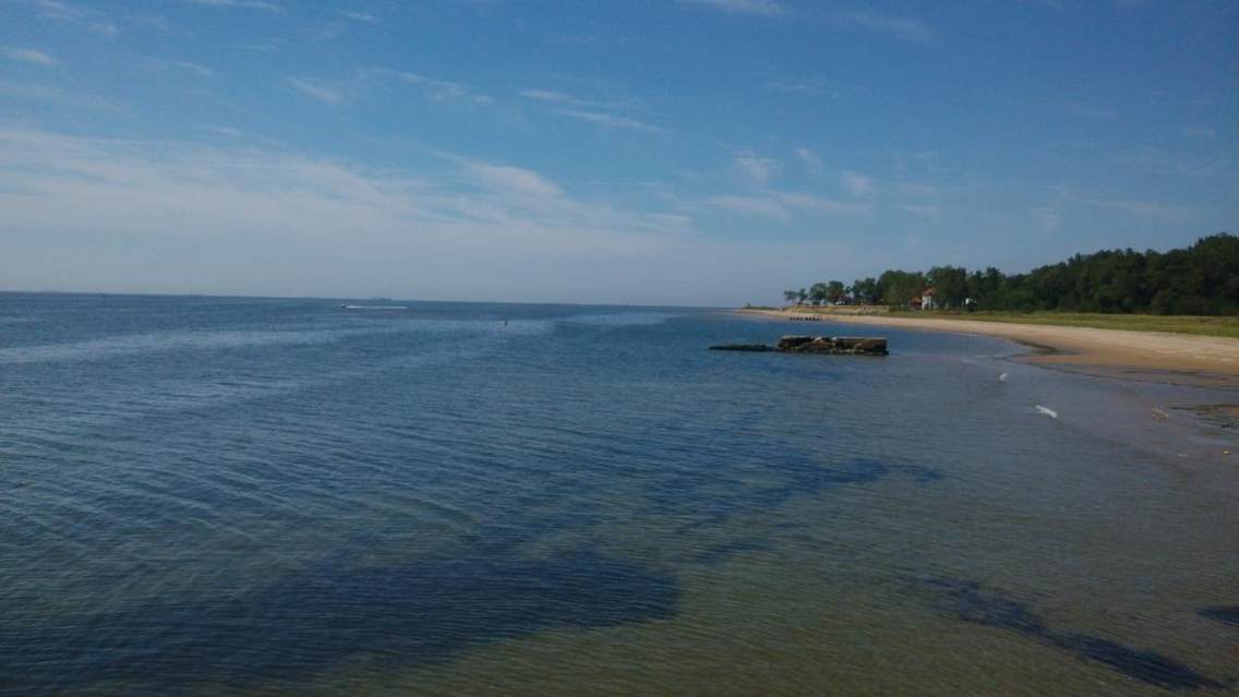 首钢浴场到老龙头的路上，在海滩抓小螃蟹无意拍到的。。