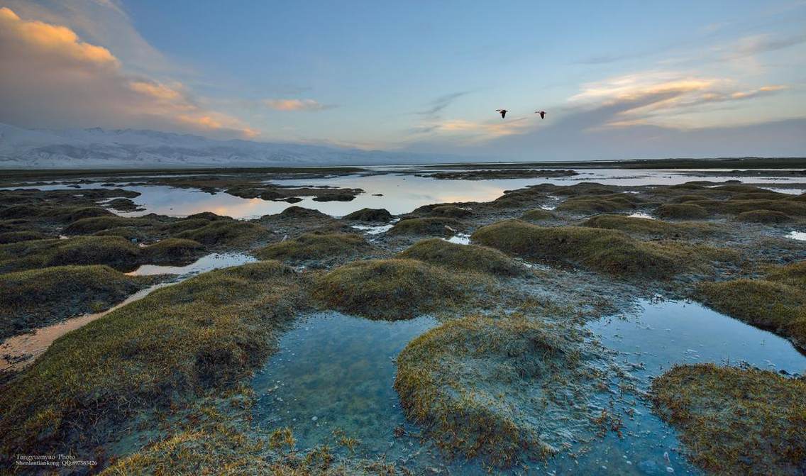 倒淌河湿地