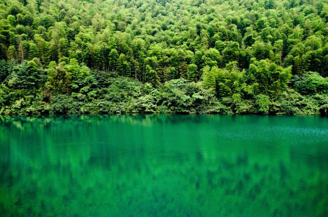 南山竹海，世外美境