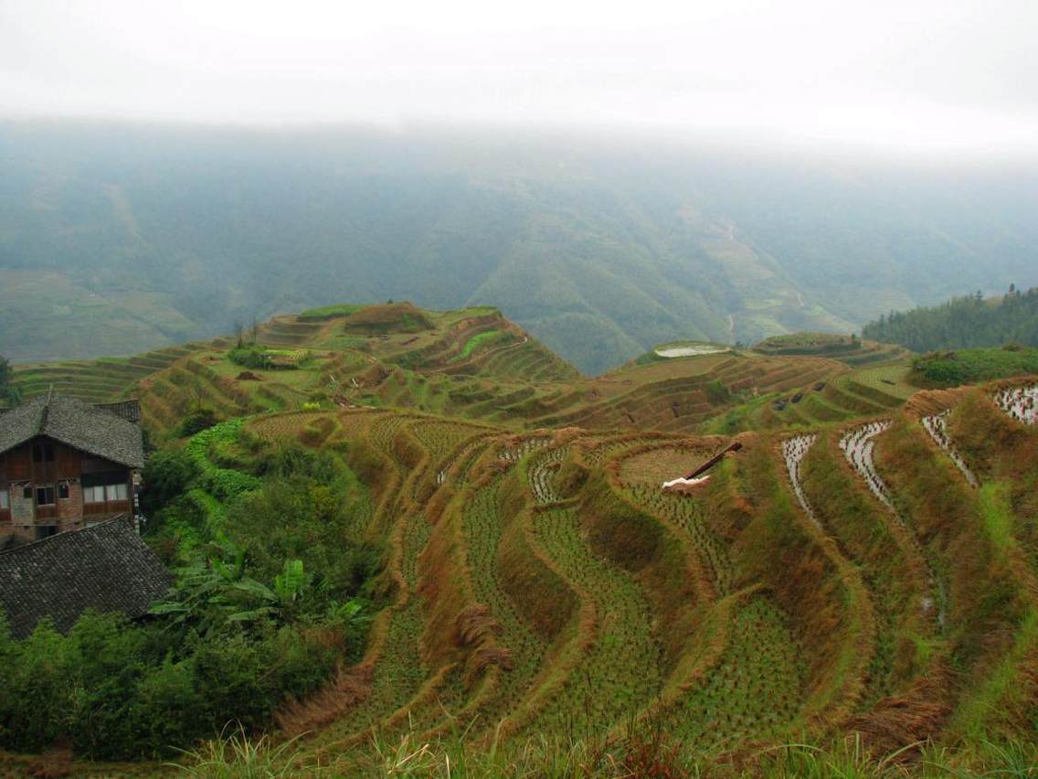 龙脊梯田