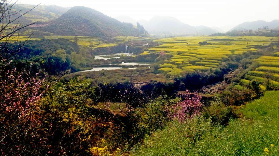 九龙瀑布 溯水之源 金黄遍野 山花烂漫 河水轻淌 醉人心弦