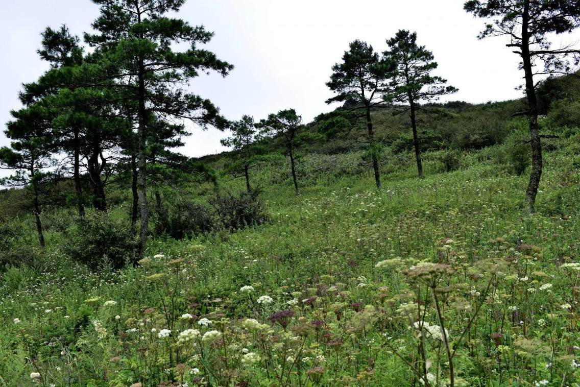 滇中第一名山　梁王山坐落在滇中小江断裂地带东部边缘，位于澄江县西北隅，距澄江县城12公里，距省会昆明40公里。山脉自西北向东南方倾斜延伸，东与南盘江相接，南连澄江坝子、西北与呈贡县毗邻，是抚仙湖北面、阳宗海南面的天然屏障。地势北高南低，最高海拔2820米(梁王山山顶电视塔处)，最低海拔2000米(梁王河水库附近)，相对高差820米，为滇中第一高峰。地处东经102°52'45"—102°55'15"，北纬24°43'57"—24°27'28"，　　梁王山素有“滇中第一名山，云南王者之山”的美称，有“一山分四季，四时景不同”之美誉，有“四面不同景，十里不同天”之独特景致，是澄江十景之一。