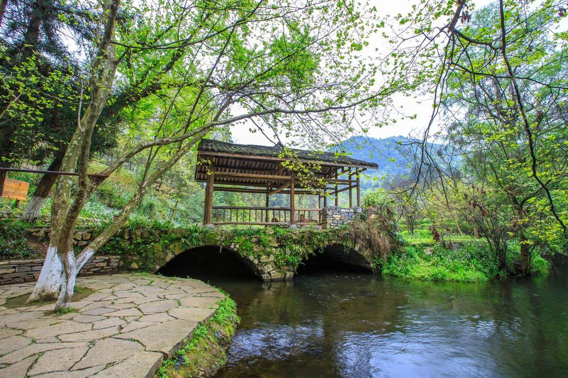 春日里，万物复苏，遍地开满了小野花，一片生机盎然的田园景象