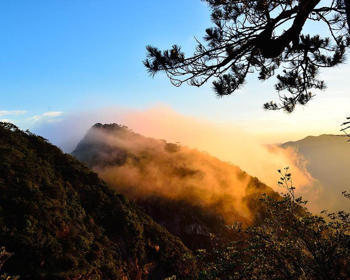 《一片祥云进山来》。福建省将乐县九仙山。这里山高林密，动植物资源丰富，山形奇特，景色怡人，是摄影的一个好地方，由于路途脚遥远，尚未开发，因此到这里拍摄的人并不多。