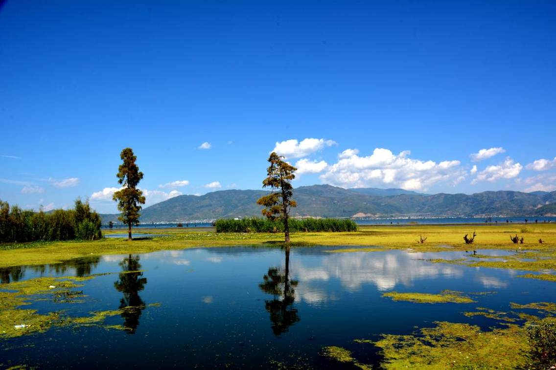 大理洱海