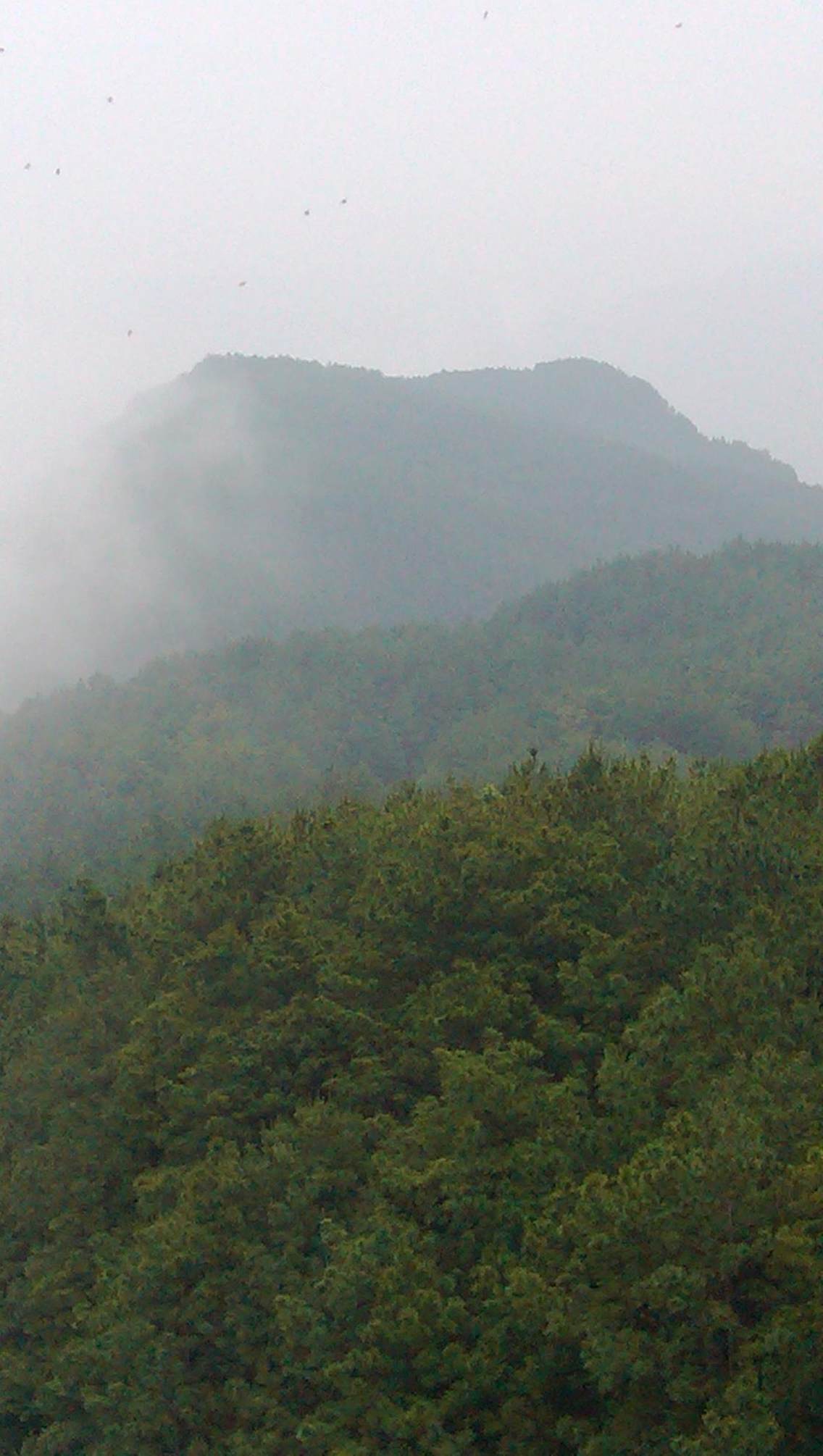 苍山溪水，故名曰：苍溪