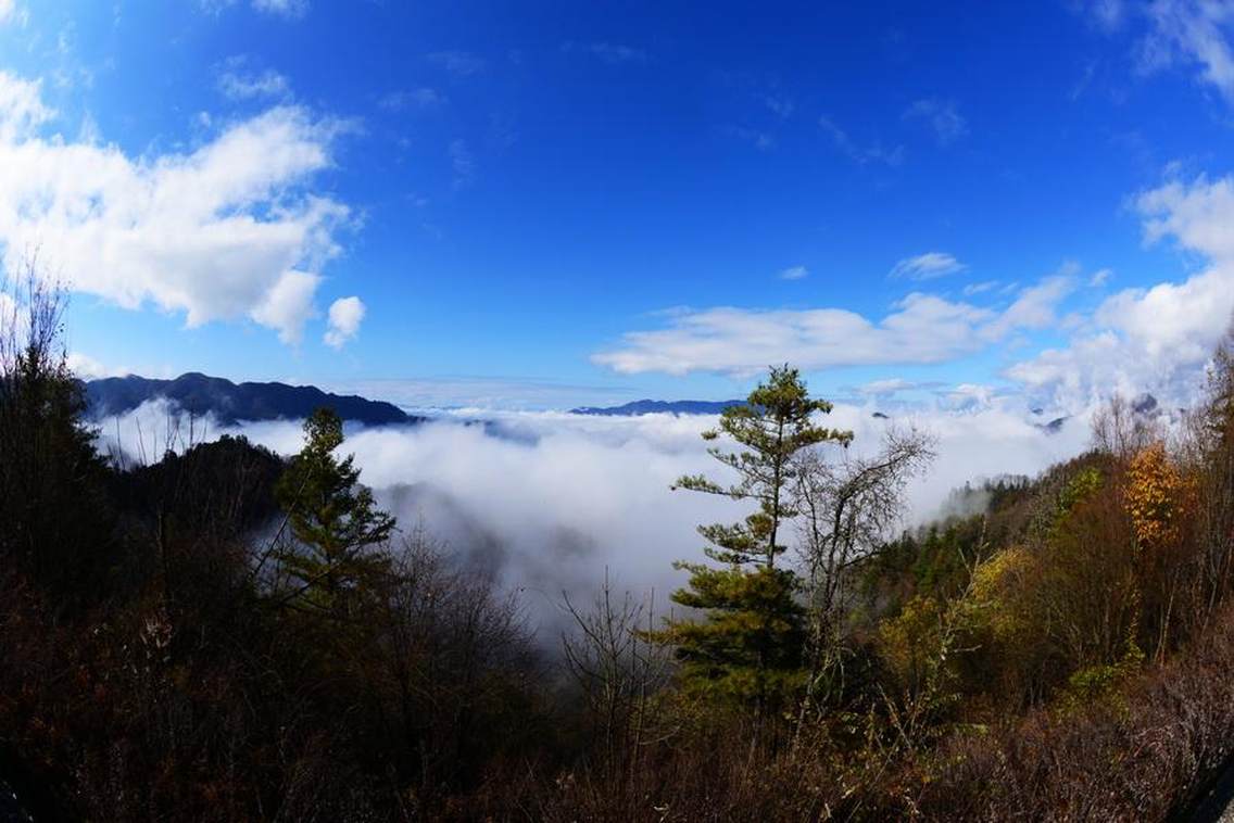 秋林云海拍摄于重庆市城口县黄安坝