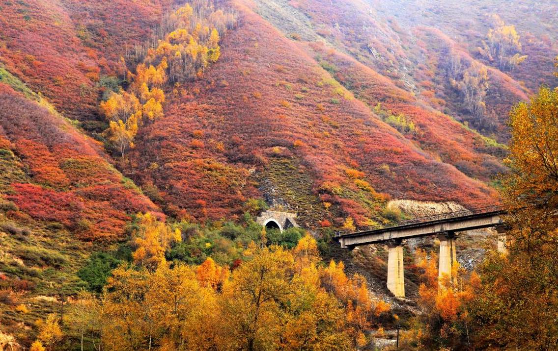 湟源，史称“丹噶尔”，位于黄河北岸，青海湖之东，湟水之源，被祁连山支脉大通山、日月山、华石山所环抱，湟水河自西北而东南斜贯县境北部，湟源峡内高山林立、奇石磷峋、湟水奔腾、植被茂密、风景如画。自古就是由内地通往西部牧区至西藏的重要通道，唐蕃古道和丝绸南路上的要塞，黄土高原与青藏高原、农业区与牧业区、汉文化与藏文化的结合部，素有“海藏咽喉”、“海藏通衢”之称。