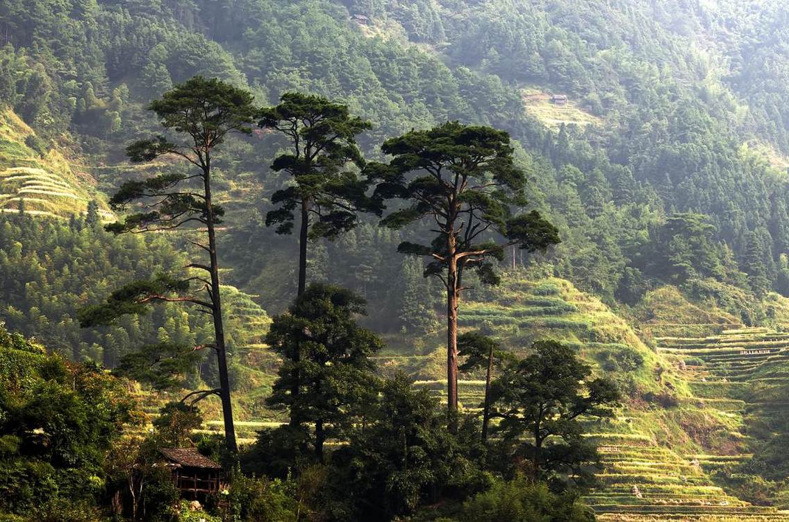 广西柳州融水县陪秀村