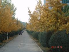 江苏省新沂市