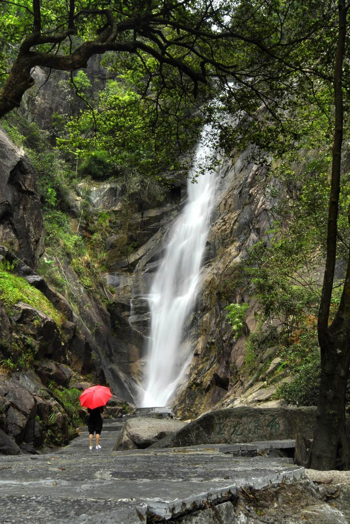 贺州市姑婆山景区，“玉龙瀑布”高达98米，落差大，宛若从天而降，又如飞奔的玉龙，气势非凡。这里水雾迎面袭来，长长的水缎从天而降，拍击着两边的悬崖峭壁，声如洪钟，水雾又在两侧流动，宛如身处仙境。