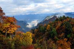 閃行光霧山 彩林路漫漫  