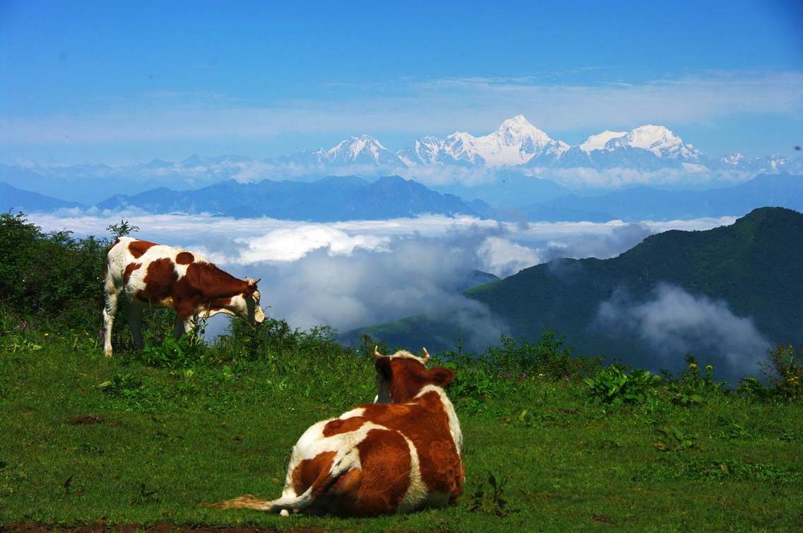 轿顶山风光