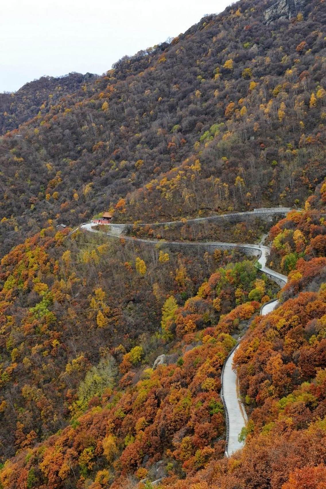 提起北京的红叶大家都会想到香山。而位于北京市房山区的百花山也是一处观赏秋色绝佳地点。