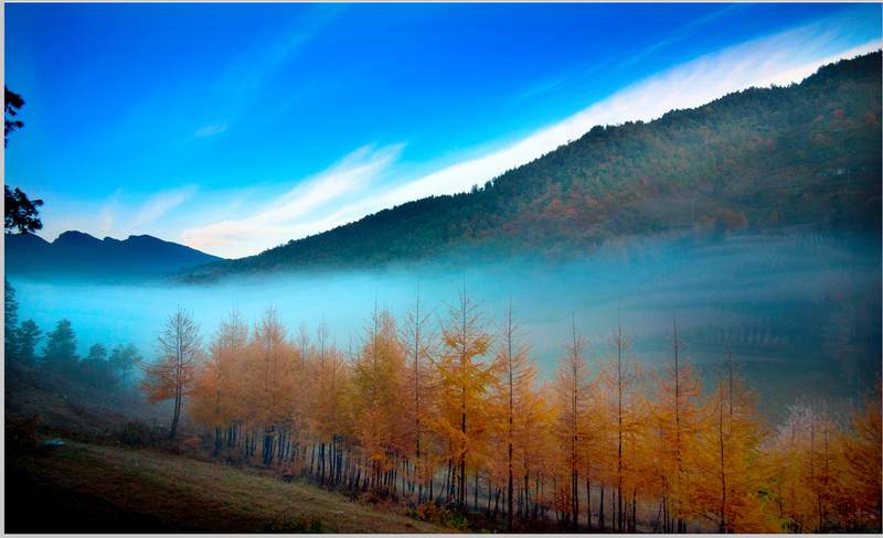 秦巴古道)             拍摄地点:重庆--重庆开县雪宝山国家森林公园