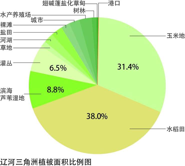 十七世纪的法国人口_法国十七世纪妆容黑痣(2)